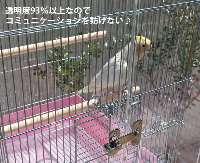 楽天市場】【プレミアム】W500×H500×D485 アクリル バードケージ