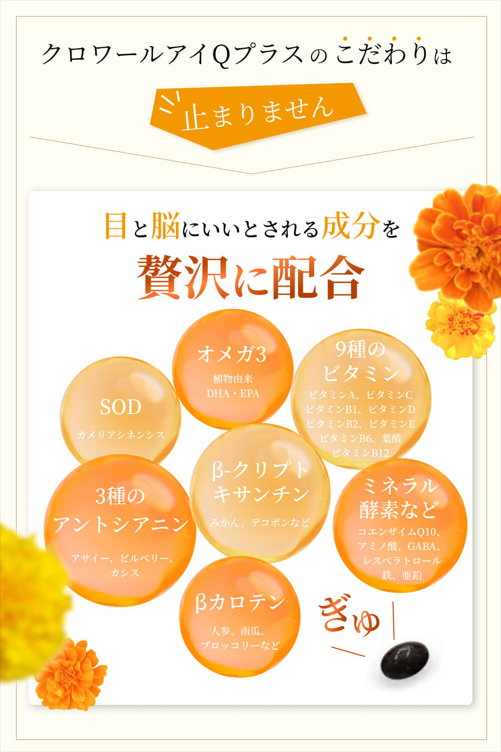 楽天市場】【ぼやけ・かすみを改善し、認知機能の維持をサポート