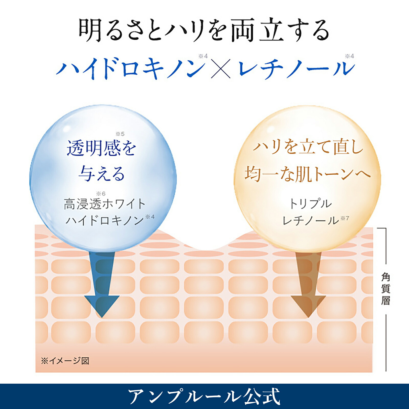 楽天市場】アンプルール公式【目元用クリーム】HQR アイクリーム20g