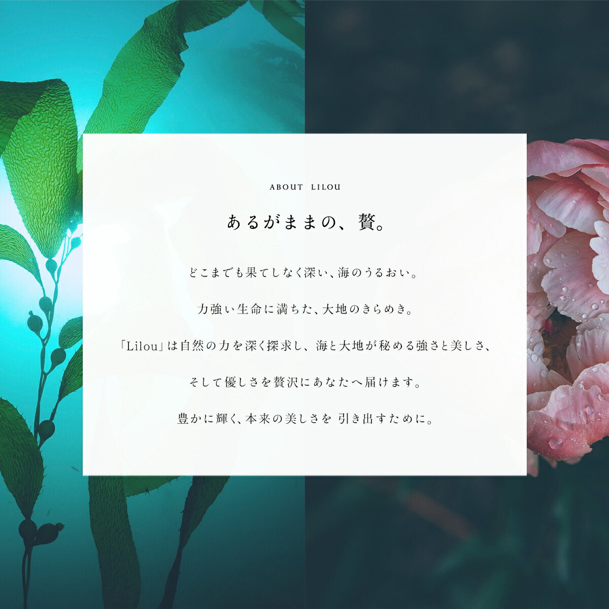 楽天市場】【4月16日以降発送予定】リル ラグジュアリーシャンプー