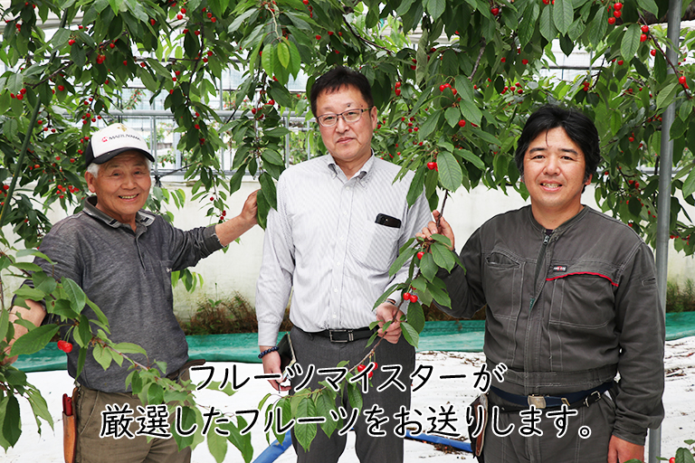 楽天市場】マイスターセレクト！ 旬のお楽しみフルーツBOX プレミアム