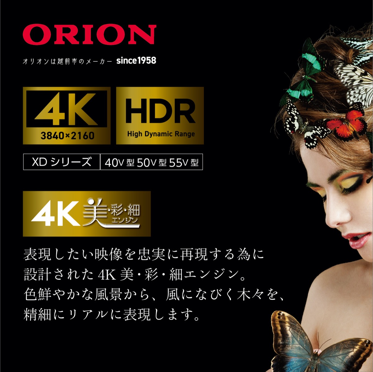 楽天市場】ORION OL55XD100 55V型 4Kチューナー内臓 液晶テレビ HDR10