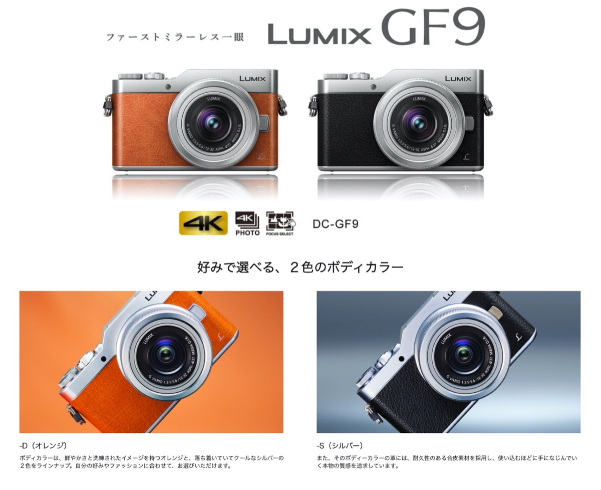 楽天市場】Panasonic DC-GF9W-D GF9 ダブルズームレンズキット LUMIX