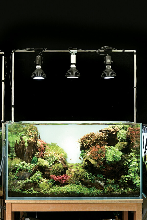 楽天市場】京セラ CERAPHIC いきもの電球 6500K(昼光色) : アクア