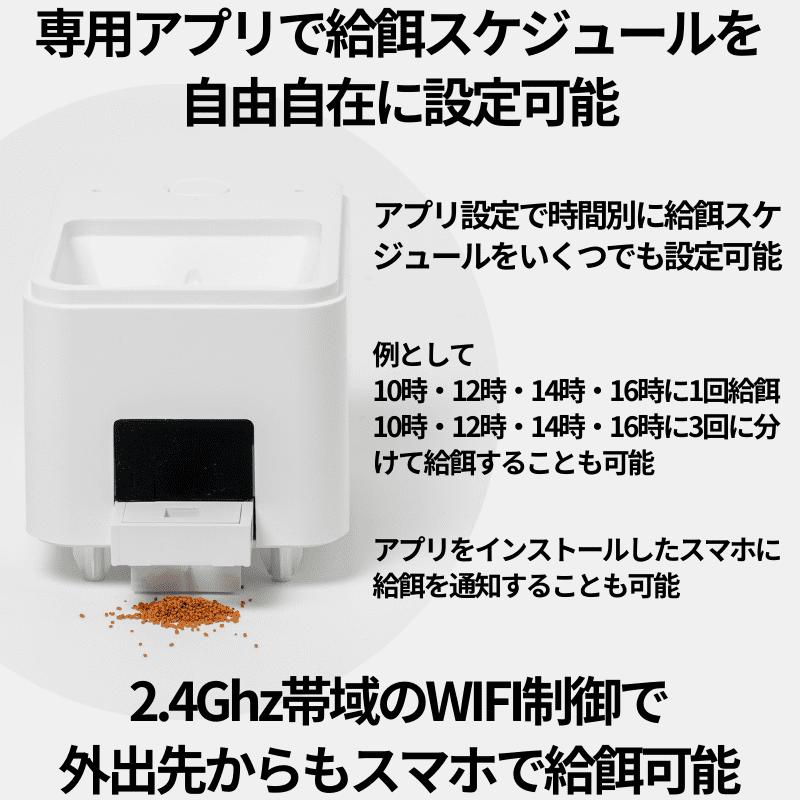 240928-autofeed06.jpg