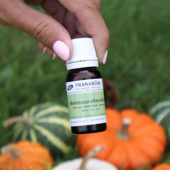 楽天市場】プラナロム ティートゥリー 10ml プラナロム アロマオイル
