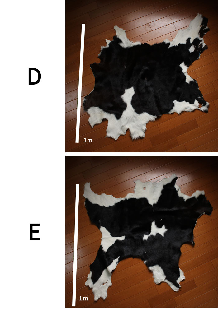 楽天市場】カウラグ ラグマット マット アニマル柄 本革 ファー 子牛