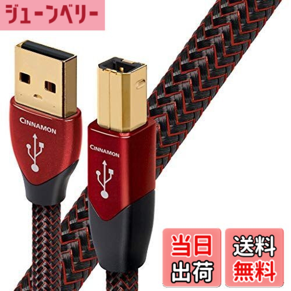 楽天市場】audioquest オーディオクエスト cinnamon usb c usb bの通販