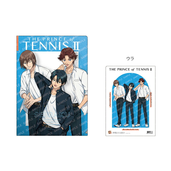 テニスの王子様 トレカ カード 青春学園 カードスタンド2 ファイル