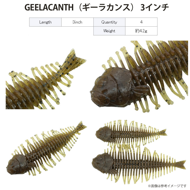 楽天市場】【Feco】ディスタイル DSTYLE ギーラカンス 3インチ