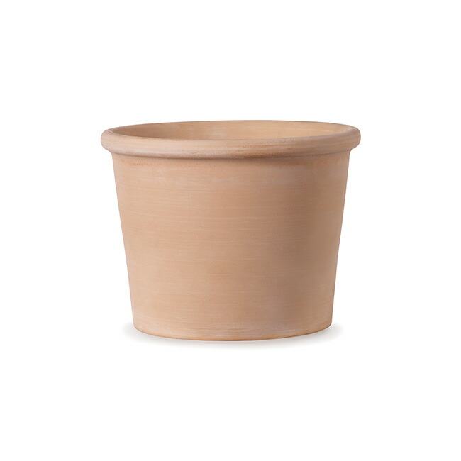 楽天市場】シロダーラ ポットの通販