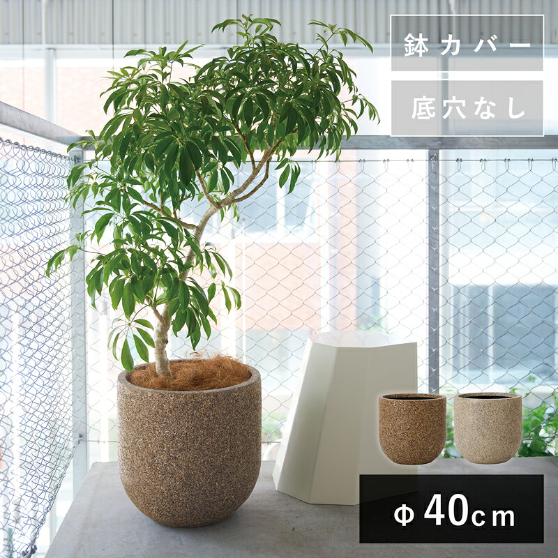 黄鍛泥 植木鉢 祐太郎造 送料込み260125 ThePlantSociety_970.jpg?v=