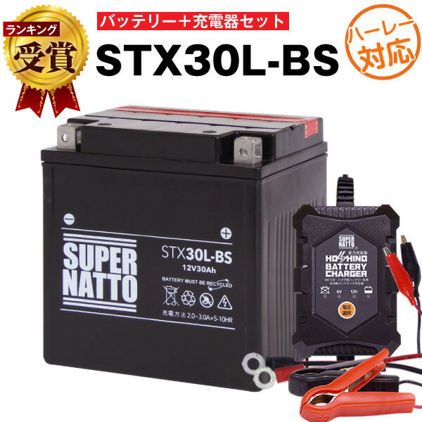 楽天市場】【マラソン☆エントリーでP10倍】バイクバッテリー充電器+