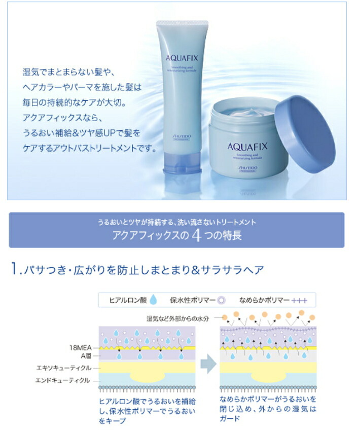 楽天市場】【在庫限り】 資生堂プロフェッショナル アクアフィックス