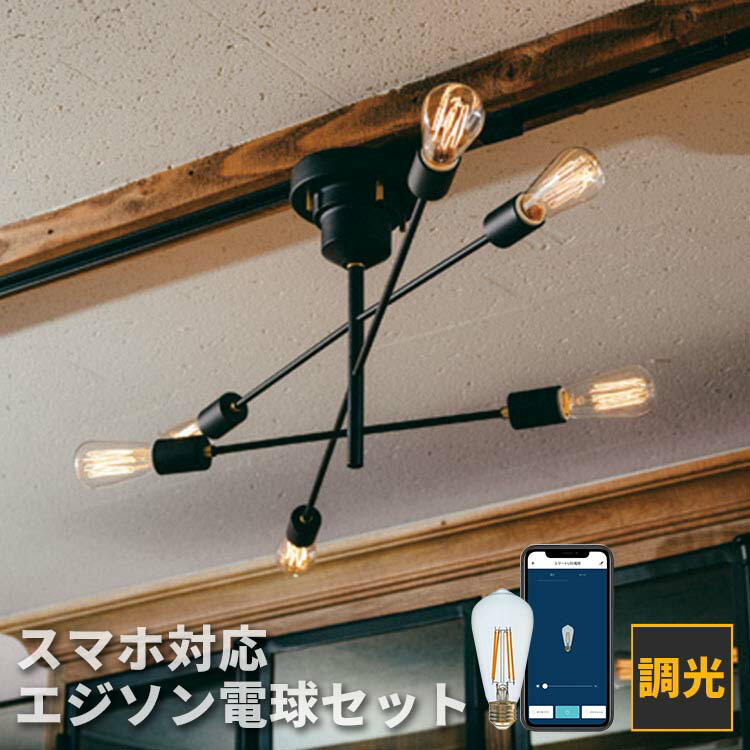 楽天市場】シーリングライト 6灯 アストル＋TOLIGO エジソン電球セット