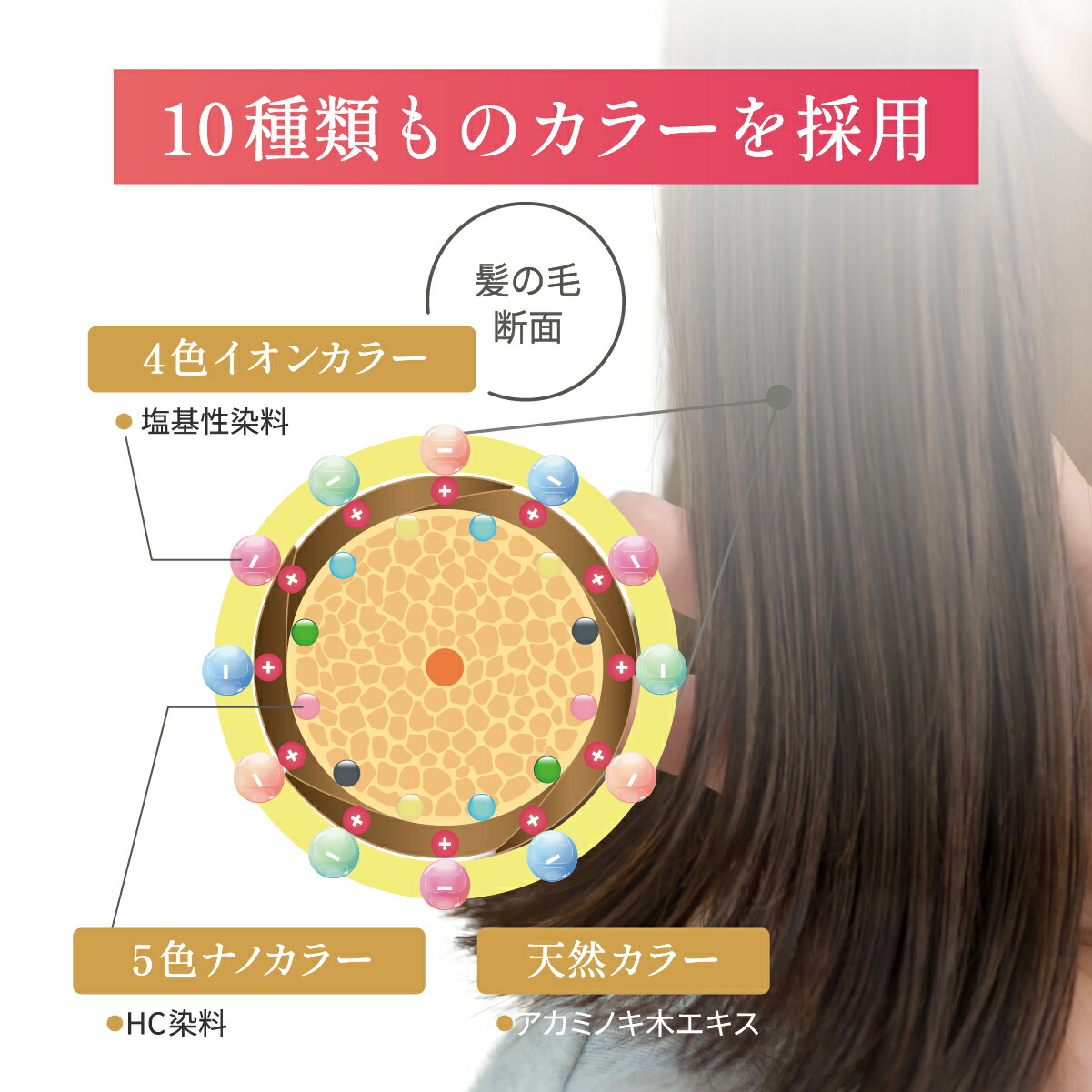 楽天市場】【5分で染まる】 白髪染め ヘアカラー SelectAge クレイ