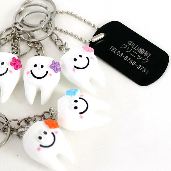 楽天市場】【ポイント2倍】名入れ 記念品 歯 歯形 デンタル