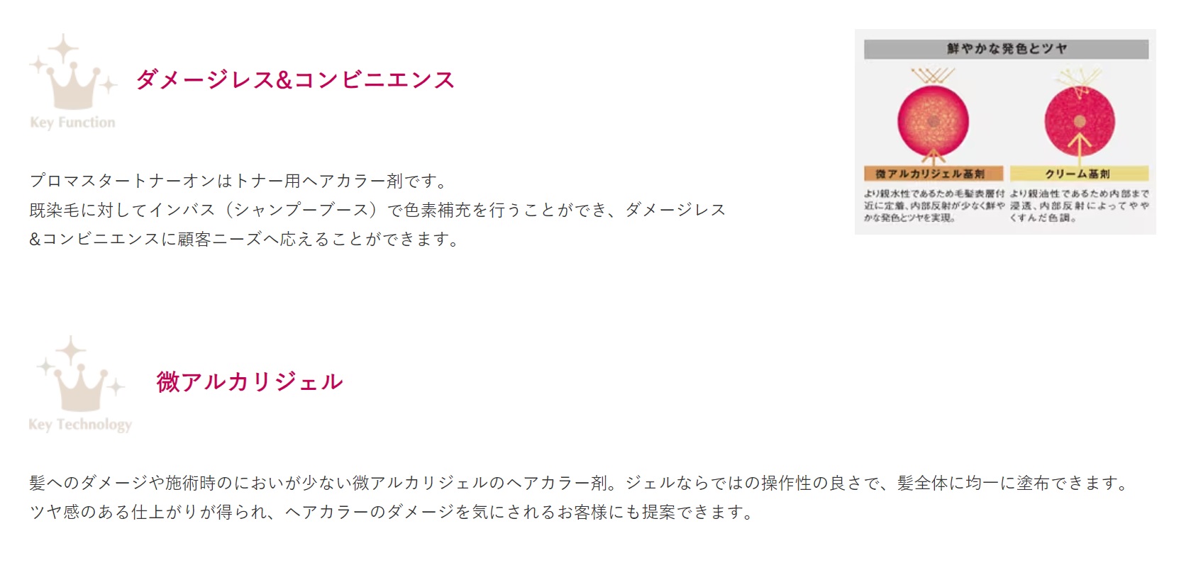 楽天市場】ホーユー プロマスター トナーオン CL-t : ベリーズコスメ