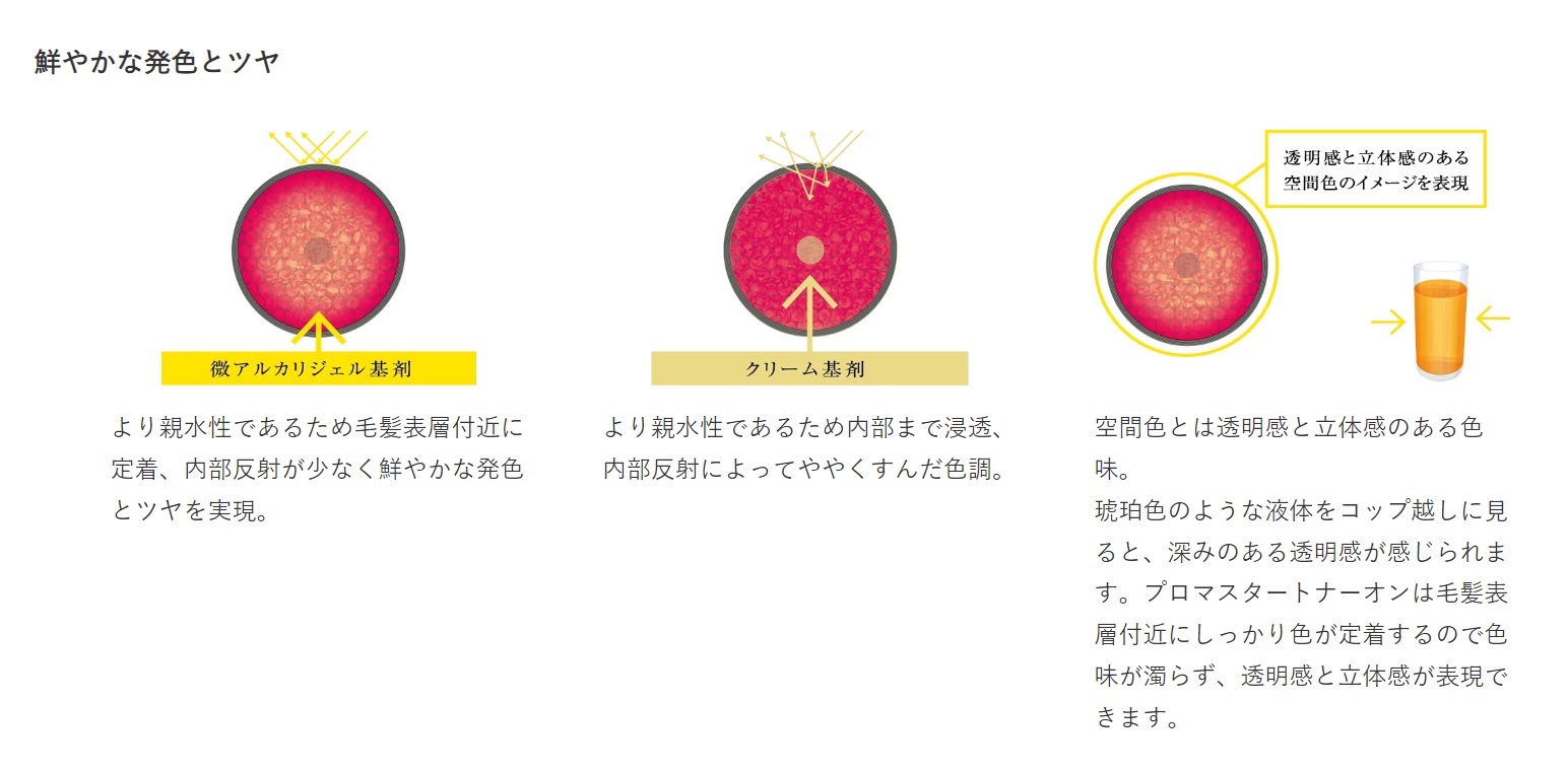 楽天市場】ホーユー プロマスター トナーオン : ベリーズコスメ