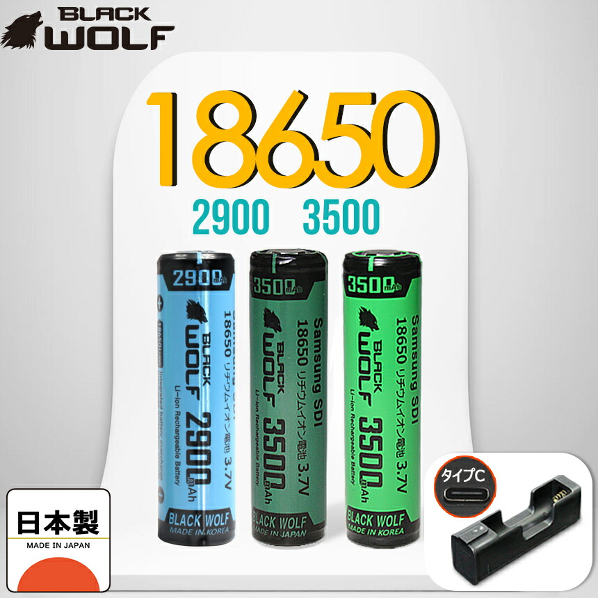 楽天市場】【エントリーでP10倍♪2/28(土）迄】充電器セット 1本用