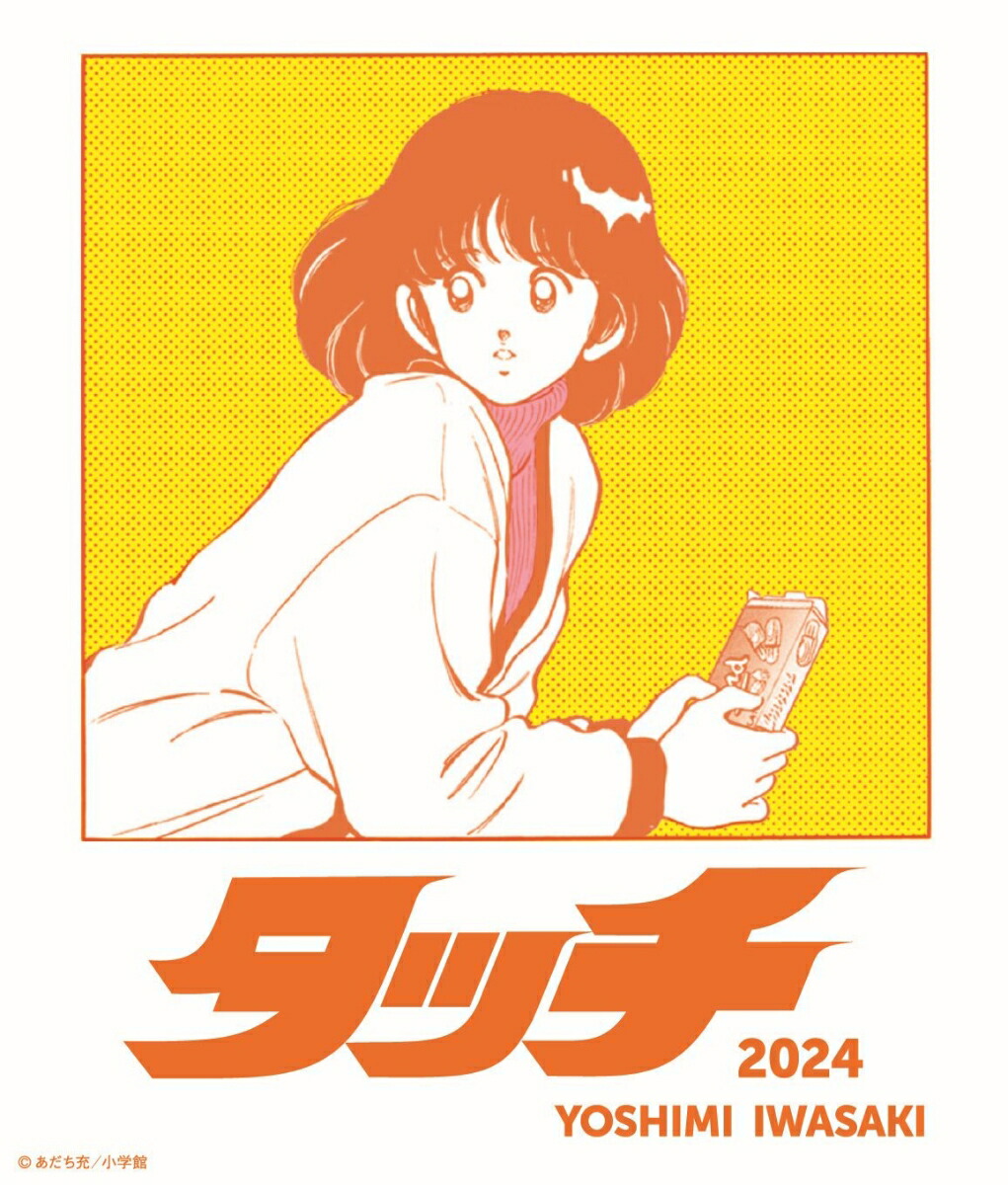 楽天ブックス: 岩崎良美 Debut 30th Anniversary CD-BOX（初回限定13CD