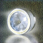 楽天ブックス: 10th Melty Life - SHAZNA - 4540994001134 : CD