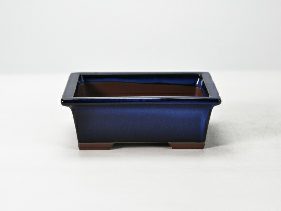 楽天市場】盆栽鉢 植木鉢 【瀬戸焼】生子5号長角切足 和鉢 長方形 長角