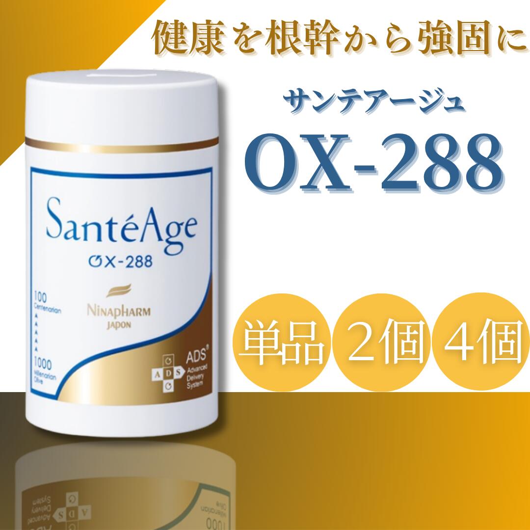 楽天市場】ニナファームジャポンの通販