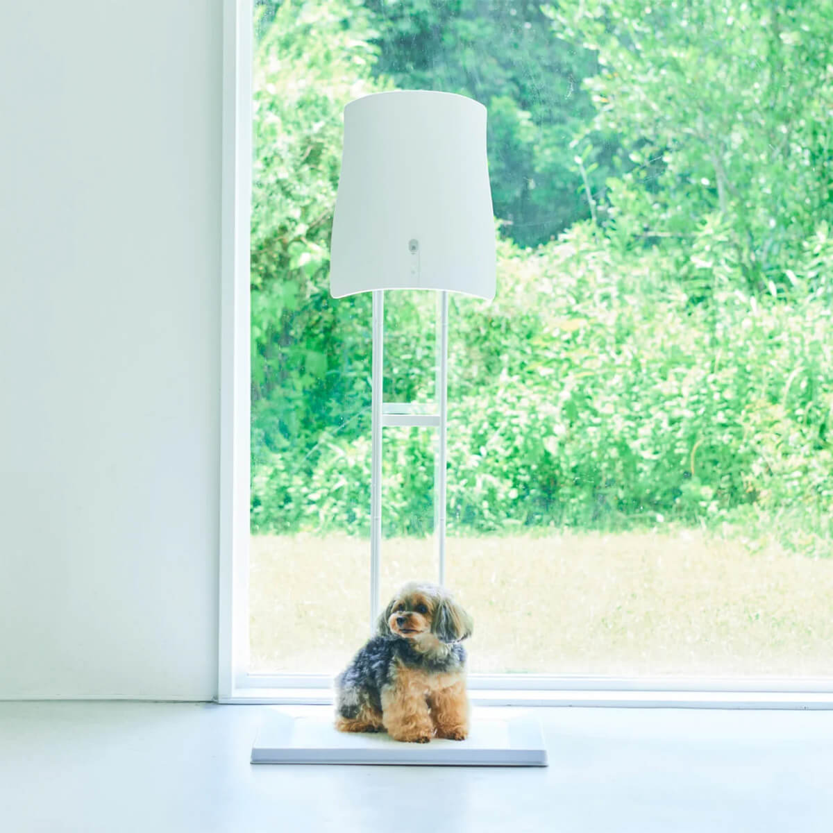 楽天市場】サンスター QAIS-air- 04A1J クワイスエアー 専用スタンド