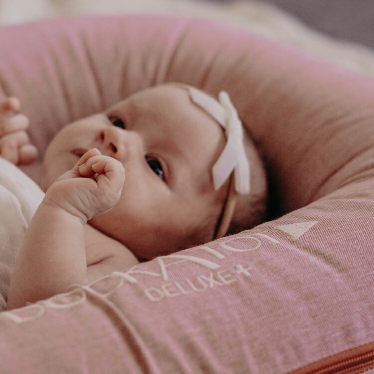 楽天市場】【ドッカトット公式】 デラックス用 カバー 洗い替え スペア