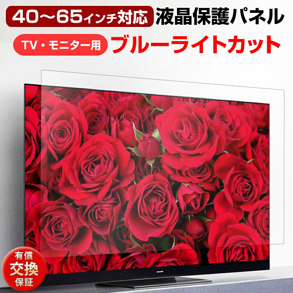 楽天市場】液晶テレビ保護パネル 有機ELテレビ ブルーライトカット 55