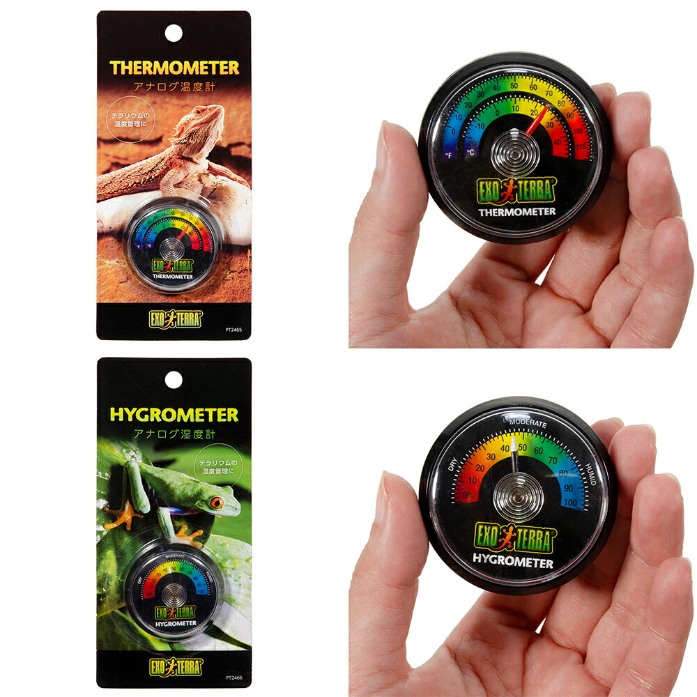 楽天市場】フトアゴヒゲトカゲ飼育セット サーモスタット付き