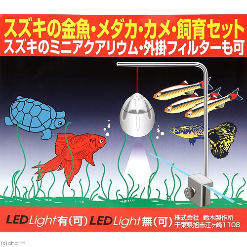 楽天市場】【3／1限定】当選確率2分の1！1等最大100％ スズキ