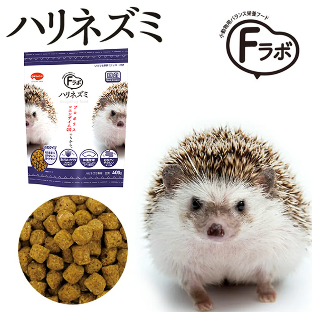 楽天市場】初めてのハリネズミ飼育セット 関東当日便 : charm 楽天市場店