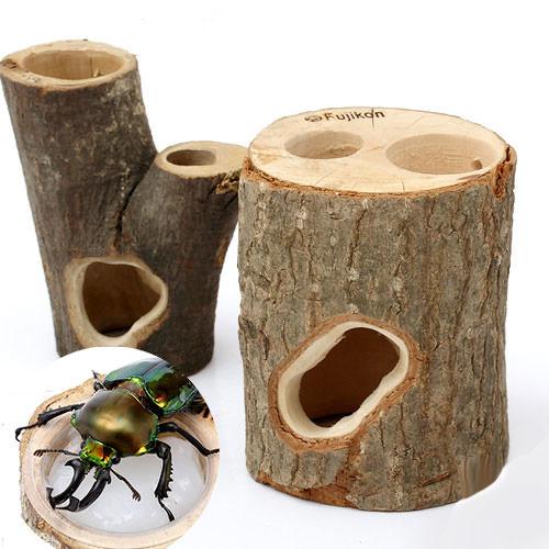 楽天市場】フジコン プレミアム インセクトシェルター M 昆虫