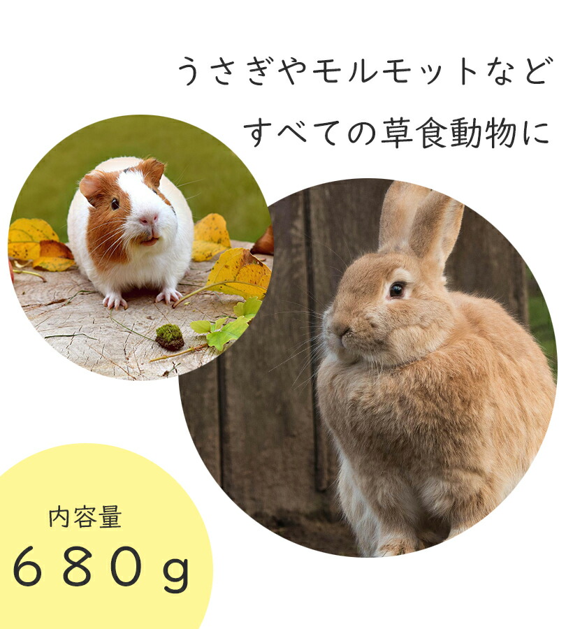 楽天市場】アメリカンペットダイナー チモシーゴールド2番刈り 680g