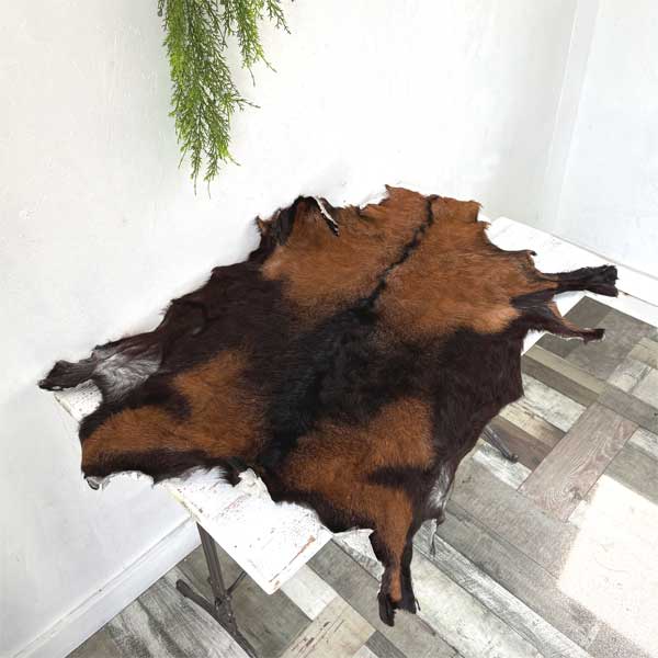 楽天市場】ゴートレザー goat 毛皮 マット 1点物 1枚革 山羊皮 ハラコ