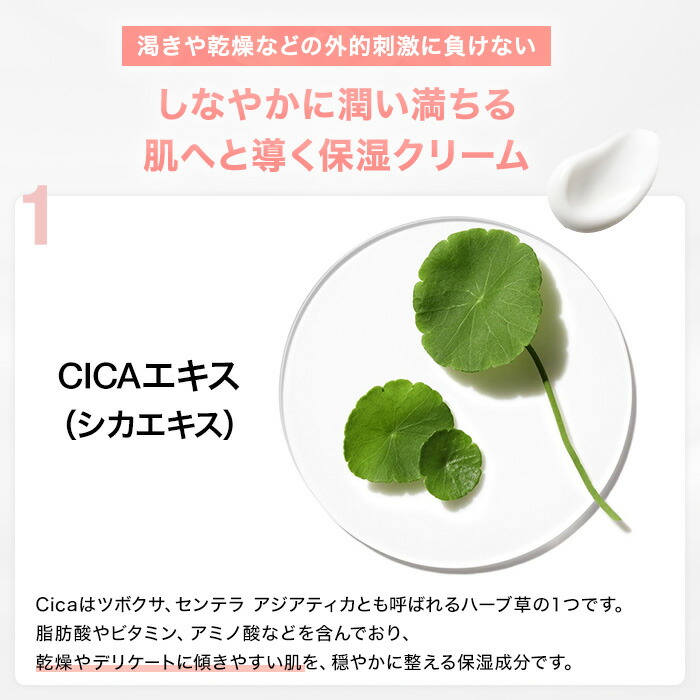 楽天市場】【ポイント10倍 さらにエントリーで+4倍 | 3/4 20:00〜 3/11