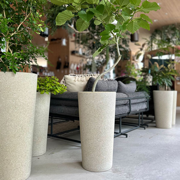 楽天市場】D&M(ディーアンドエム) ウェッジポット Ф23 クリーム