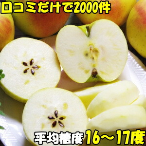 楽天市場】りんご 送料無料 ぐんま名月 口コミ2000件 噂のリンゴ