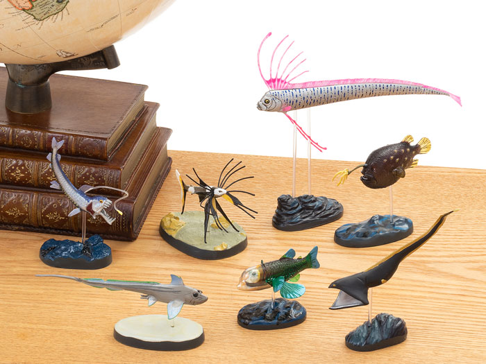 楽天市場】動物 リアル フィギュア 立体図鑑ディープシーフィッシュ