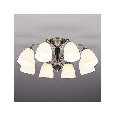 楽天市場】東芝 シャンデリア（ライト・照明器具｜インテリア・寝具