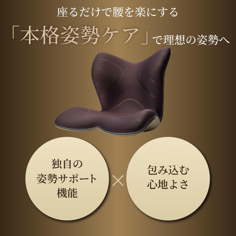 楽天市場】[最大400円OFFクーポン配布中] 【選べるW特典a】姿勢