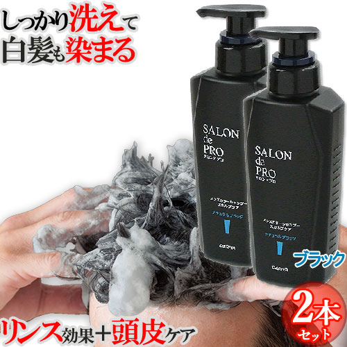 楽天市場】白髪染めシャンプー 2個セット 頭皮ケア 白髪対策 ノン