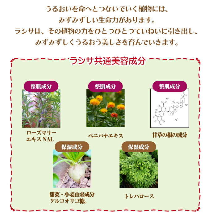 楽天市場】【☆ポイント3倍 3/1 0:00-23:59】ナガセ ラシサ マイルド