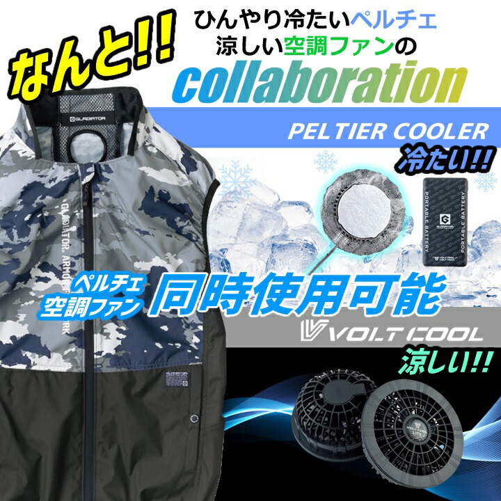 楽天市場】【即日発送】ペルチェ 空調 ベスト ペルチェ付き ひんやり