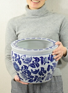 楽天市場】青白陶器草花小鉢 洋蓮 鉢カバー 水鉢 睡蓮鉢 金魚鉢 植木鉢