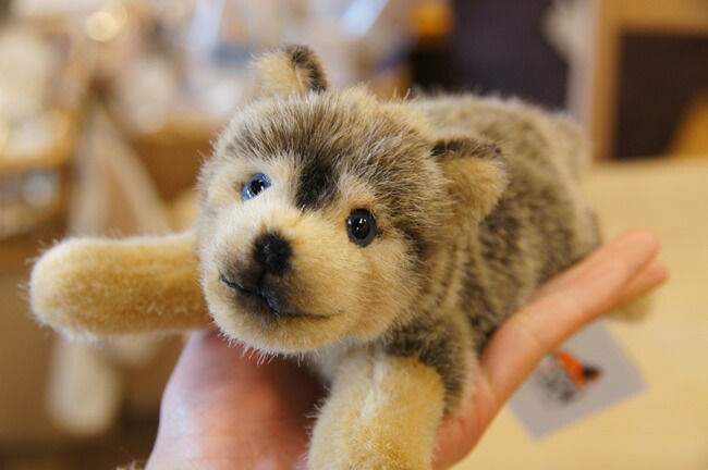 楽天市場】Kosen ケーセン ドイツ製 ぬいぐるみ オオカミの子（伏せ