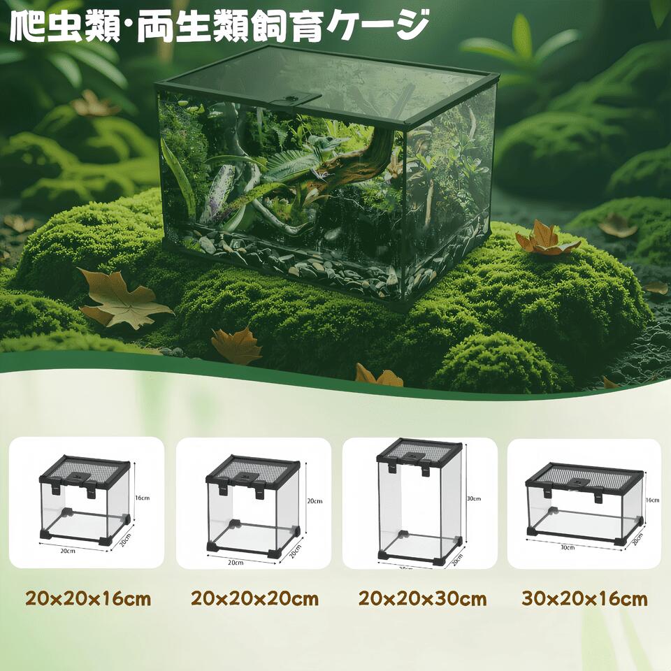 楽天市場】DMB自社製爬虫類飼育 両生類 飼育ケージ ガラスケージ