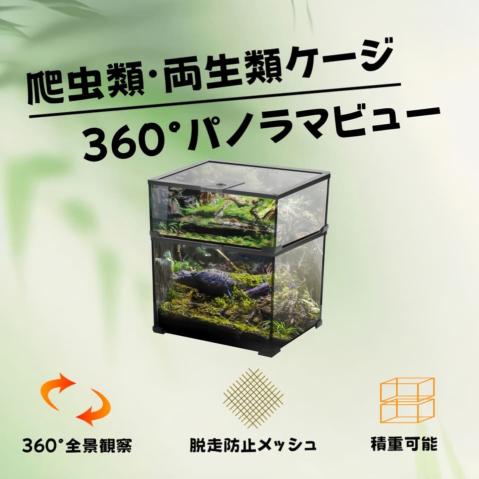 楽天市場】DMB自社製爬虫類飼育 両生類 飼育ケージ ガラスケージ